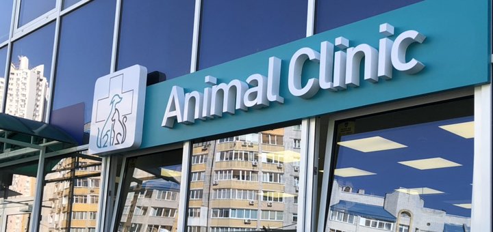 Veterinary clinic "Enimal-klinik" near Kiev. Make a special offer.