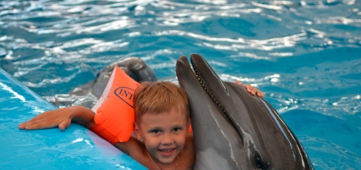 Dolphinarium Nemo Koblevo. Discounts.