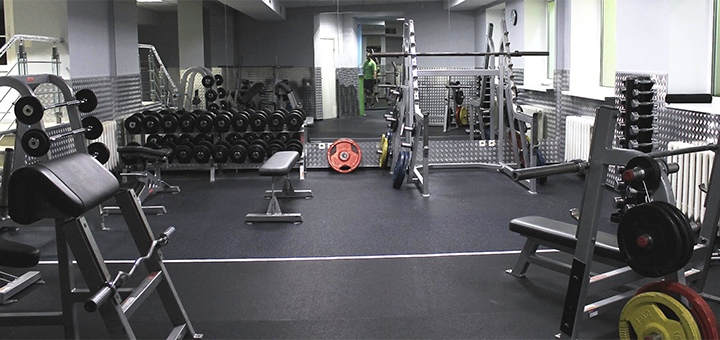 Fitness club Zebra sport. Attend training sessions on special offer