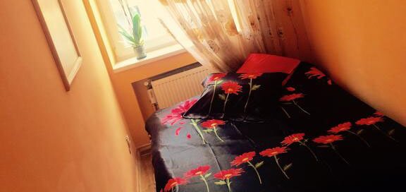 Спецпредложение от Kvartira posutochno