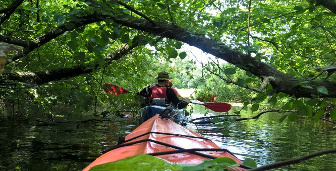 Discounts and promotions for kayak rentals. Sign up for promotions6