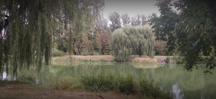 Парк журавлівський гідропарк в харкові. відпочивайте по купону
