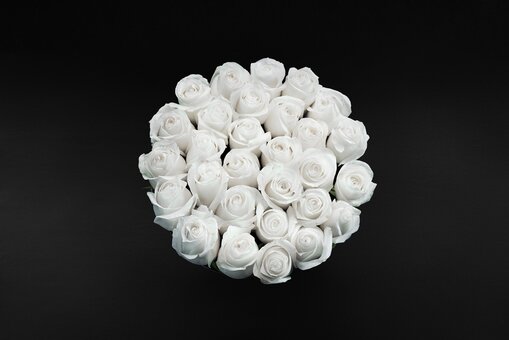 Bouquet of white roses «The Wild Rose». Order with a discount.