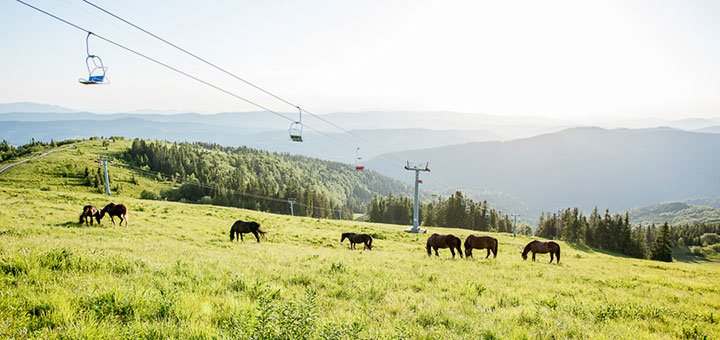 Бильярд в гостинично-ресторанном комплексе «Захар Беркут» в Волосянке под Славском. Планируйте отдых в Карпатах со скидкой.