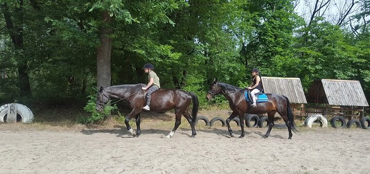 Horseback riding competition