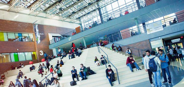 Компания «Studentland», обучение со скидкой 1