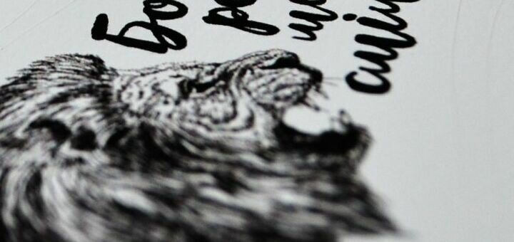 Promotions for large format printing lviv