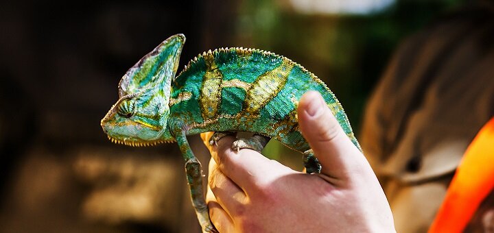 &quot;multizoo&quot; in zhytomyr, discounts