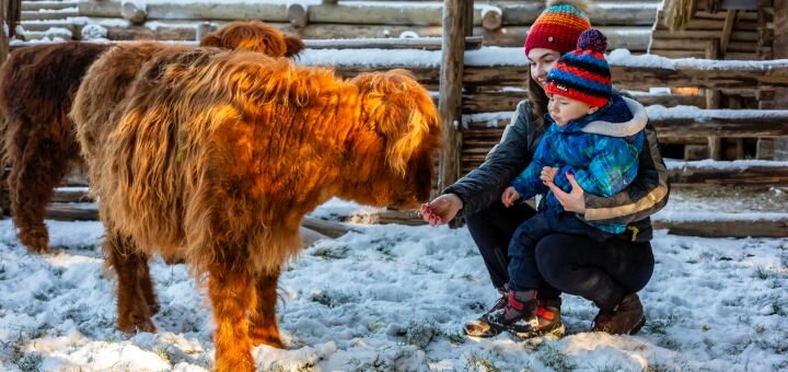 Знижка на квитки в Гуцул Ленд