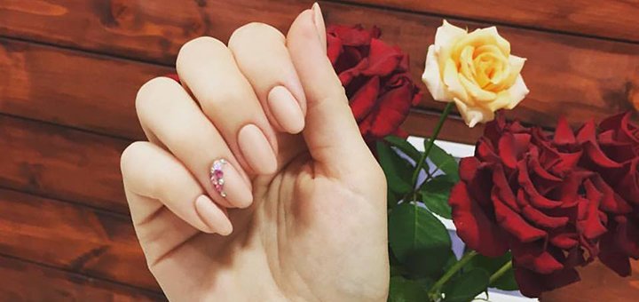 Discounts at the beauty studio &quot;miss fox&quot;