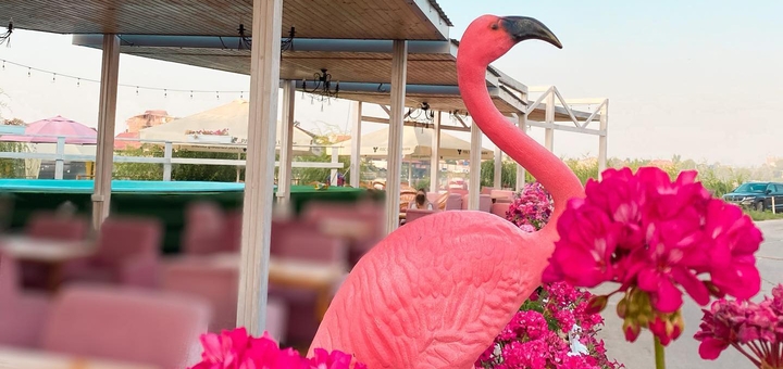 Отель Flamingo Beach Club. Бронируйте номера по акции 6