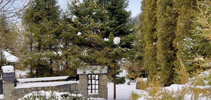 Парк-готель Svyat. Бронюйте за акцією 1