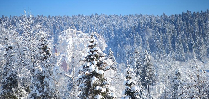 Favar apartments in the Carpathians (promotion 1)