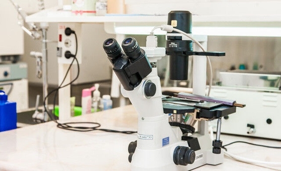 Medical laboratory Accurate diagnosis dnepr discount 7