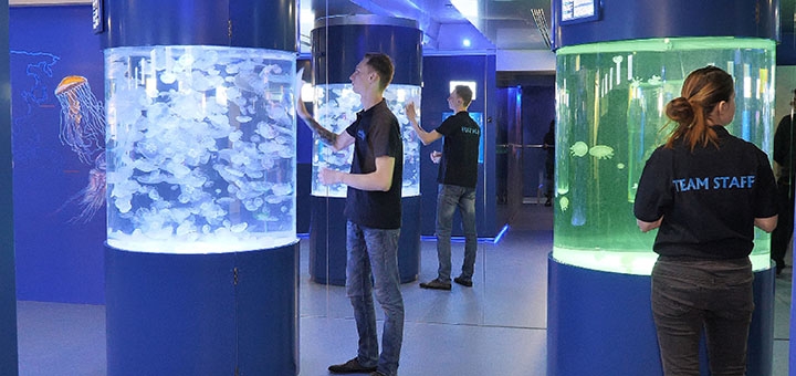 Medusa Museum in Kyiv, promotions