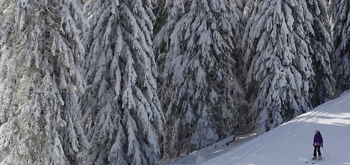 Отель Naciku в Буковеле. Бронируйте по акции 56