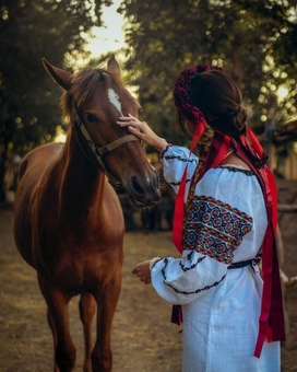 Конный клуб Horsecamp 4