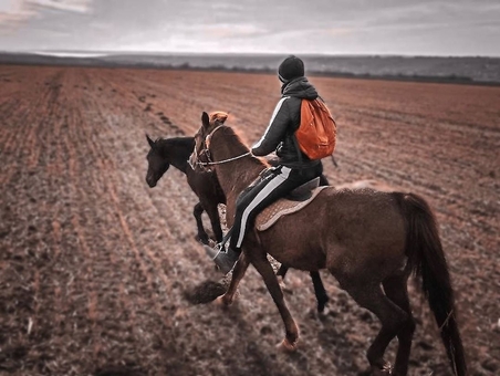 Конный клуб Horsecamp 8