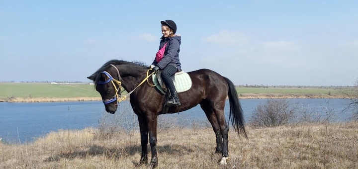 Конный клуб Horsecamp, прогулки на лошадях 4