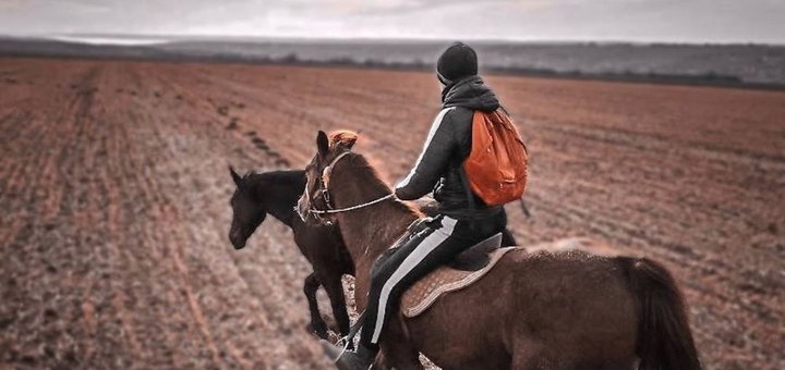Конный клуб Horsecamp, прогулки на лошадях 9