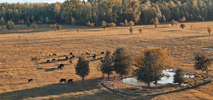 Beremitskoe Nature Park. Visit on special offer 18