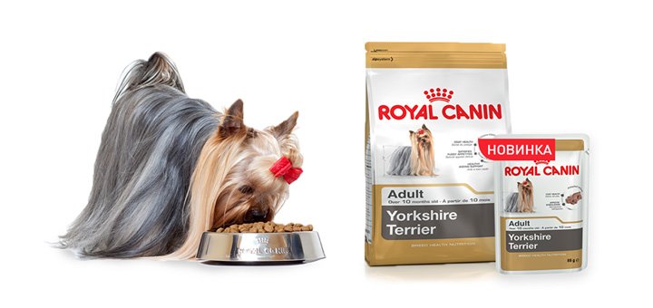 Food for your dog "Royal Canin" at a discount