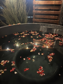 База відпочинку Dachi Time Dream. Відвідуйте по акції 38