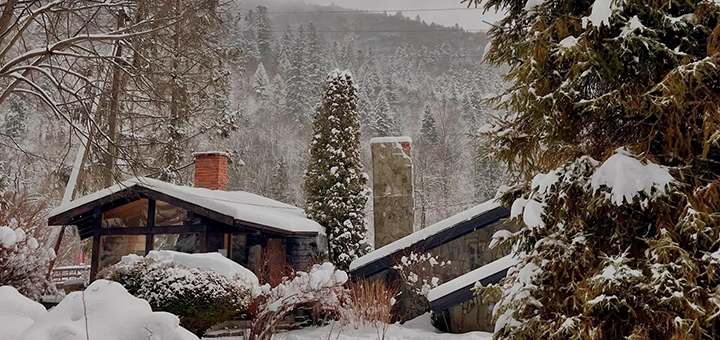 Парк-готель Svyat. Бронюйте за акцією 13