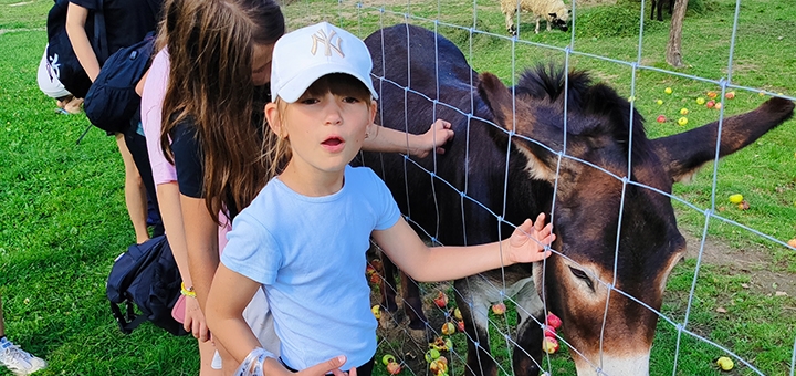 Mountain Adventures Children's Camp. Visit with a special offer of 12