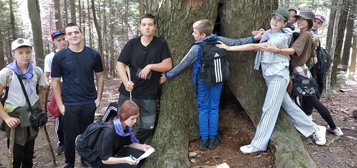 Детский лагерь Forest Life. Посещайте по акции 30