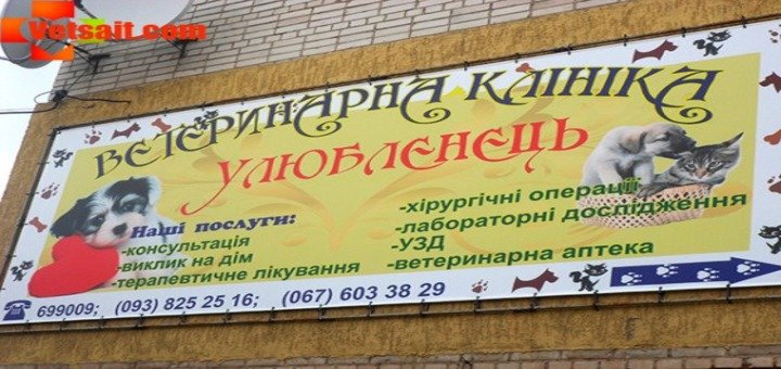 Ветеринарна клініка «Улюбленець». Лікуйте тварин зі знижкою