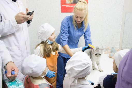 Veterinary master class for children at the Prokhvost veterinary center in Dnipro. Book at a discount.