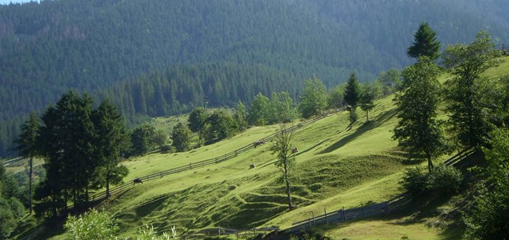 Виїзні екскурсії в Карпатах зі знижкою