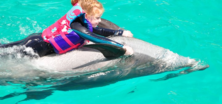 Swimming with dolphins for children at the Nemo Dolphinarium. Buy discounts.