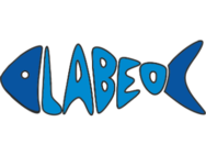 Labeo