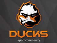 Ducks