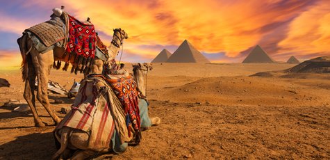 Shutterstock_407439145